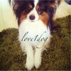 love1dogさんのROOM